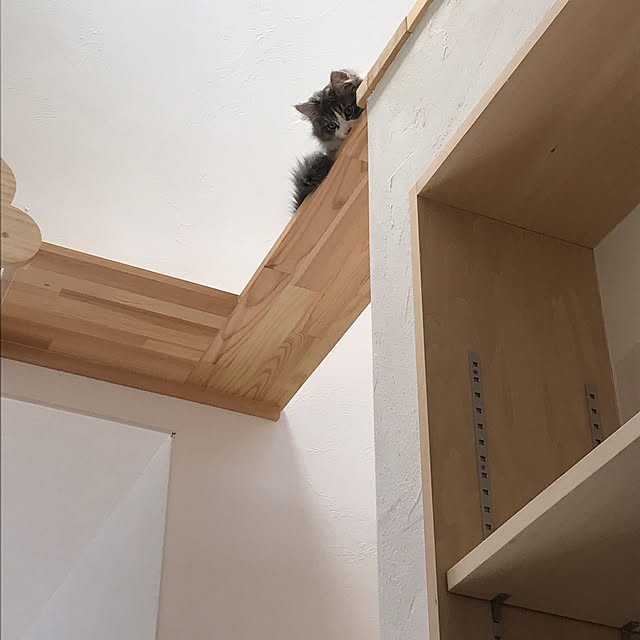 nukooさんの部屋