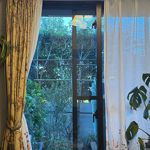 okyosan101さんの実例写真