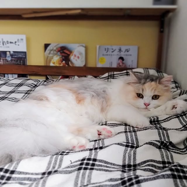 hiromi0302さんの実例写真