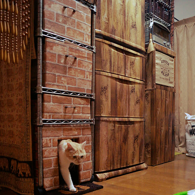 kobakissaさんの実例写真