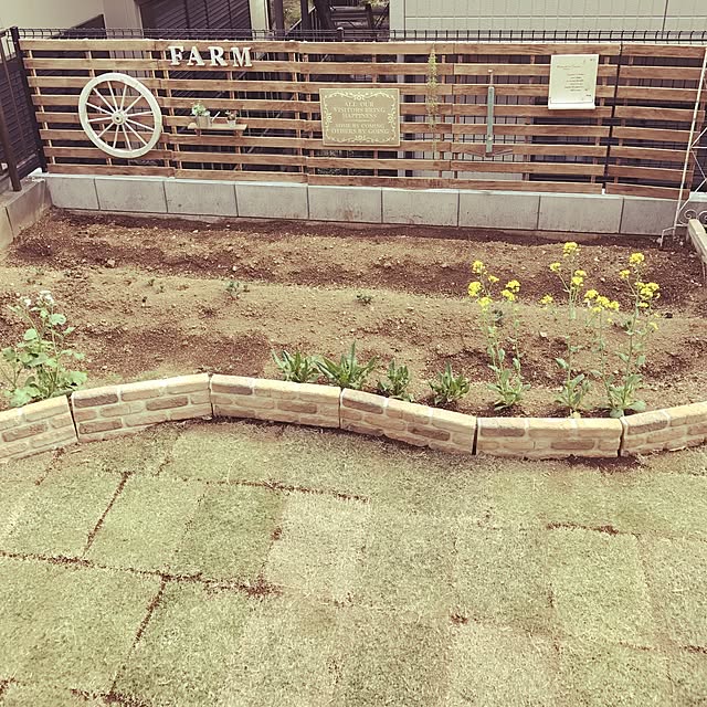nobupacaさんの実例写真