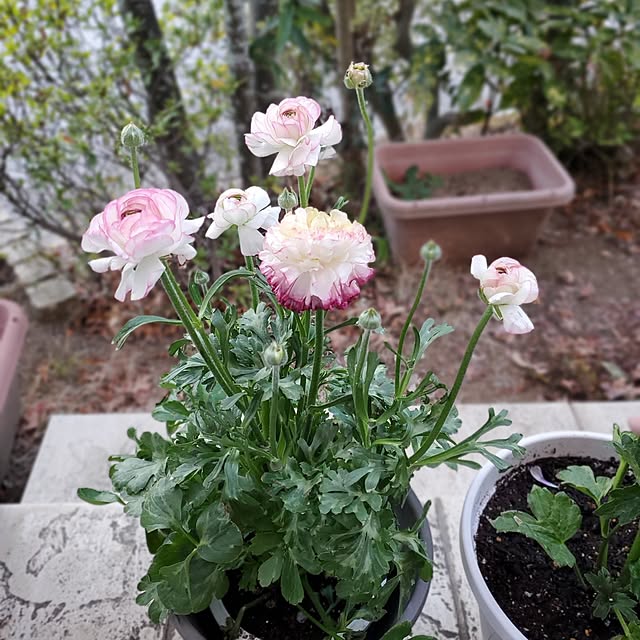 MARIE.color.interiorさんの部屋
