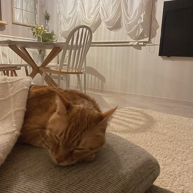 mii_home_39さんの実例写真