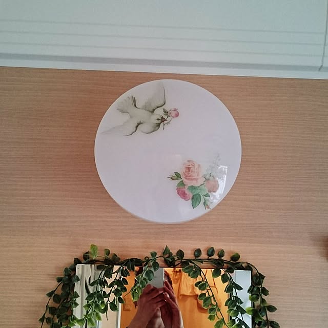 7OfPinkRedさんの実例写真