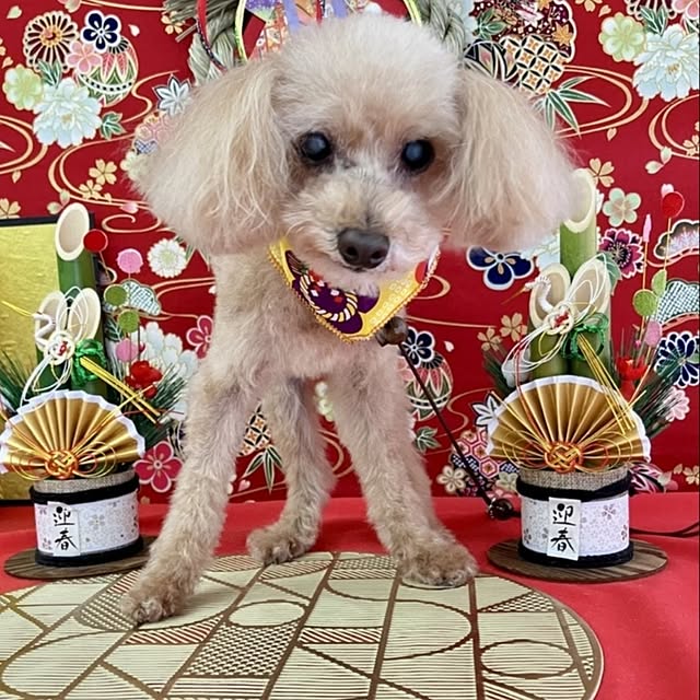 yumi.grandsaisonさんの実例写真