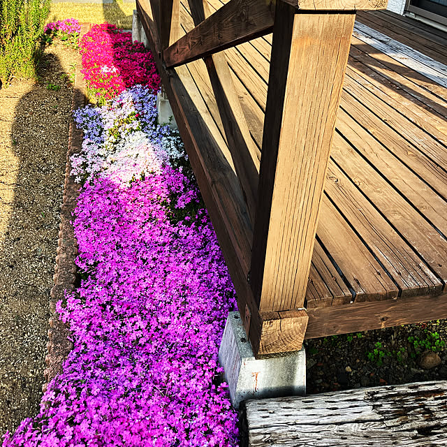 Rさんの実例写真