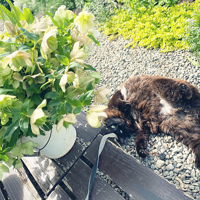 lukkaさんの部屋