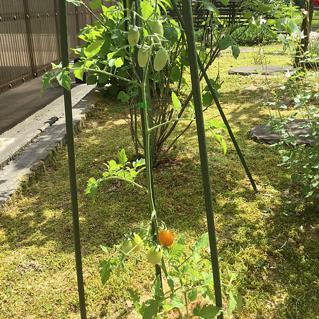 kakoさんの実例写真