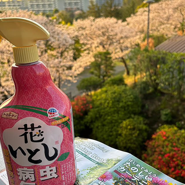 syutmmさんの部屋