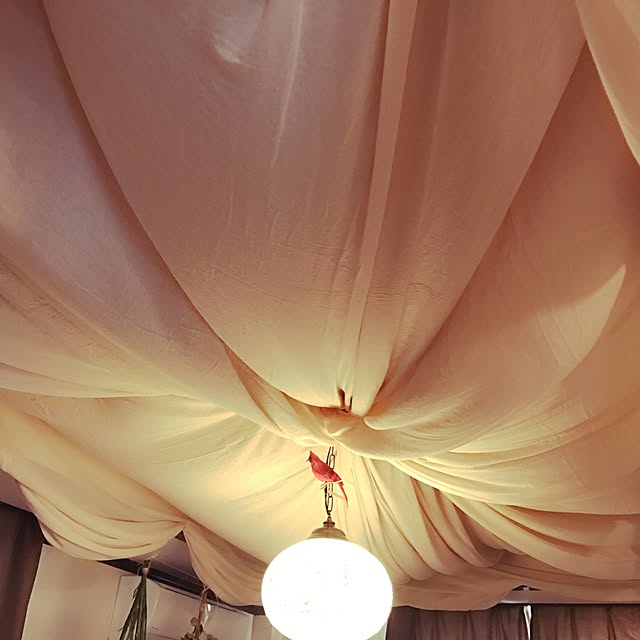 korinoさんの実例写真