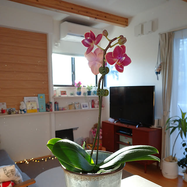 ym3さんの実例写真