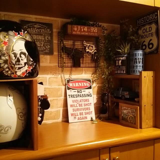 DS250さんの実例写真