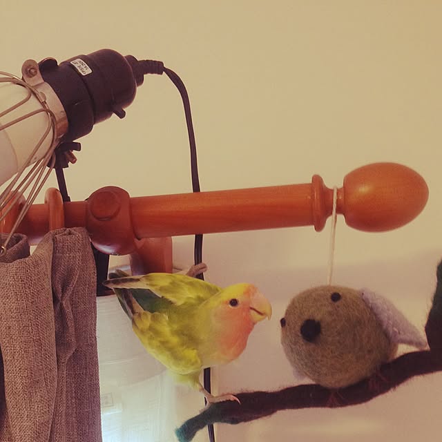 srpさんの実例写真