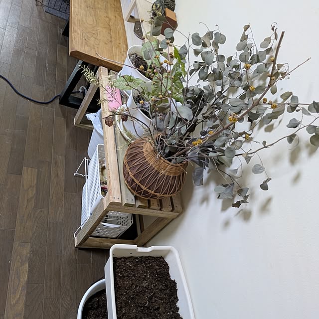 asaさんの実例写真