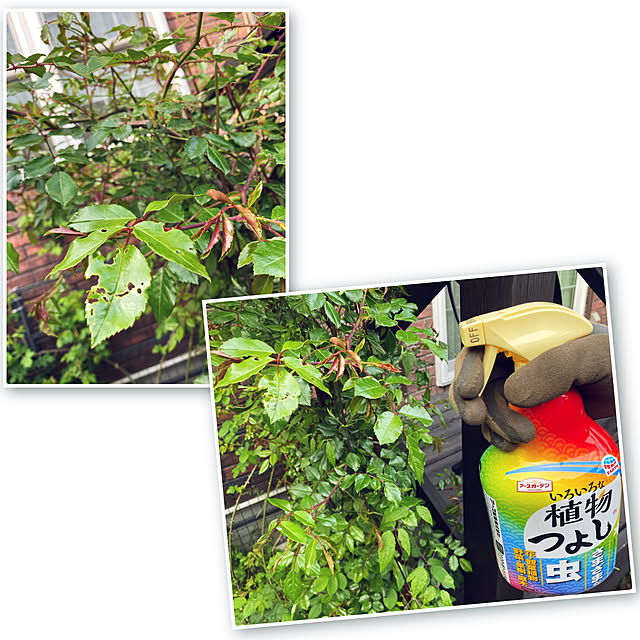 usagiさんの部屋