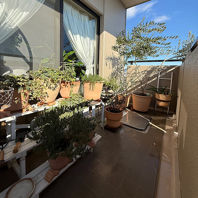 yasuyo66さんの部屋