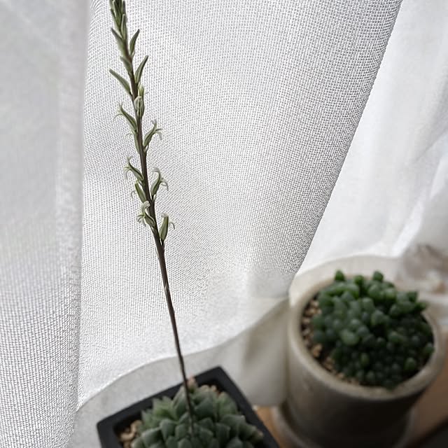 chinaminiさんの部屋