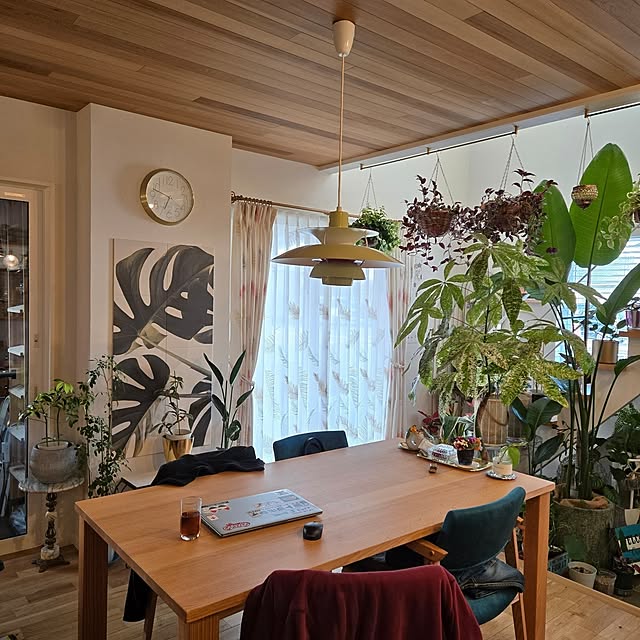 nonbiri_house_さんの部屋