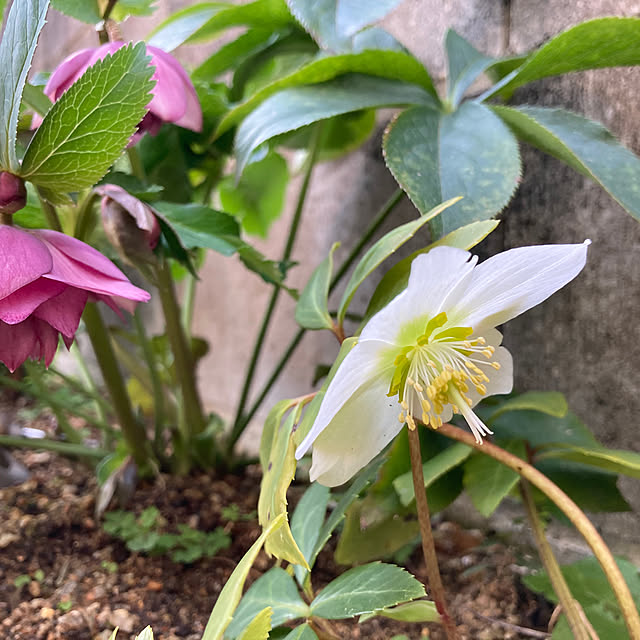 tokoさんの部屋