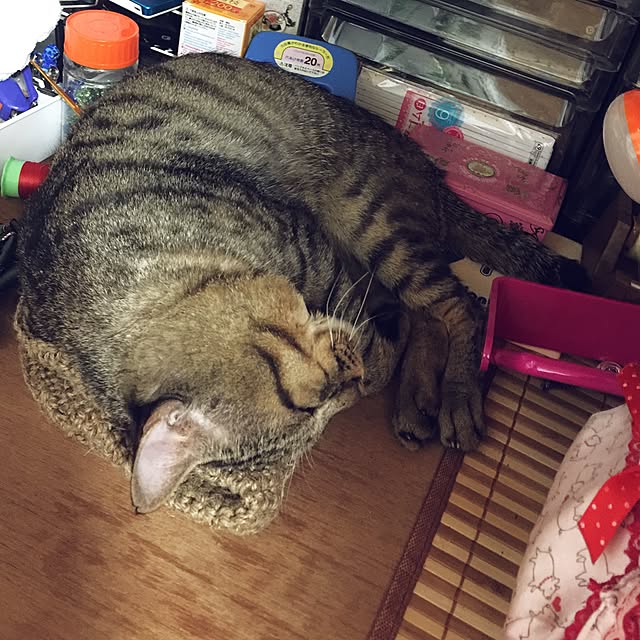 shukran_kinakoさんの実例写真