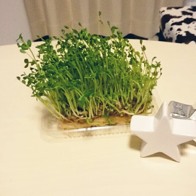 etsuさんの実例写真