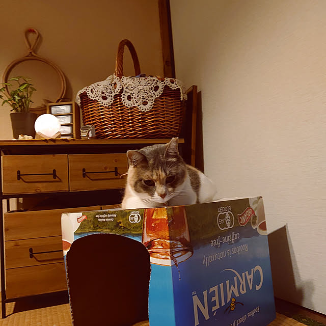 fukuさんの実例写真