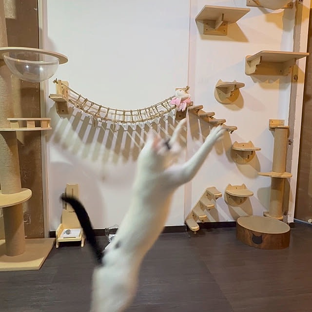 yuutamamehimaさんの部屋