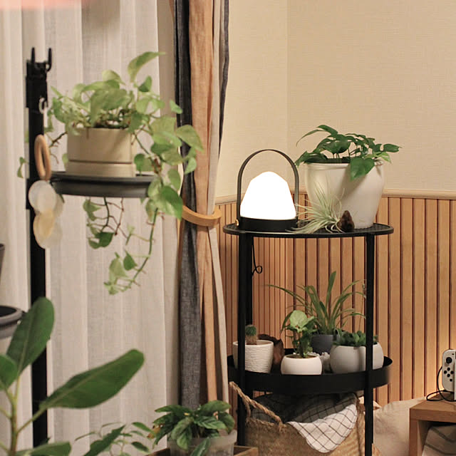 busho_no_hahaさんの部屋