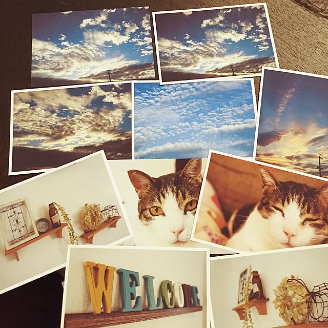 minkokoさんの実例写真