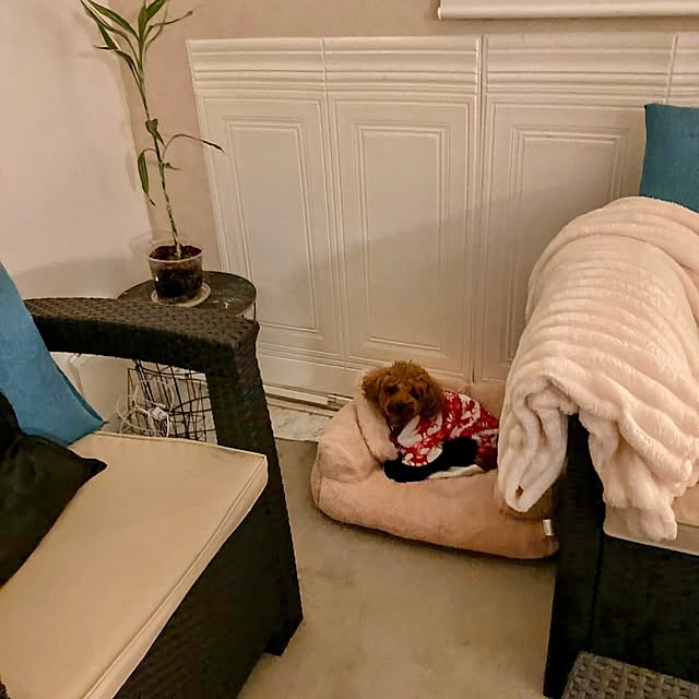 MOMOMAMAさんの部屋