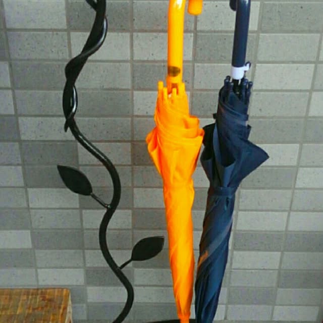 iron09さんの実例写真