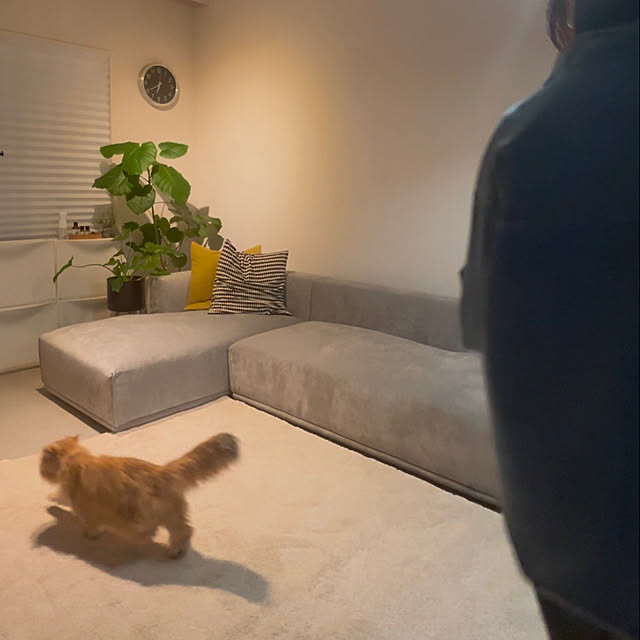 Mashuさんの部屋