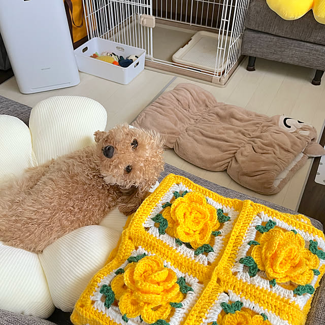 eriharuさんの部屋