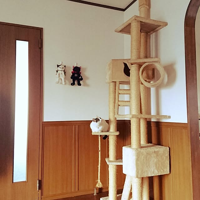 mine-catsさんの実例写真