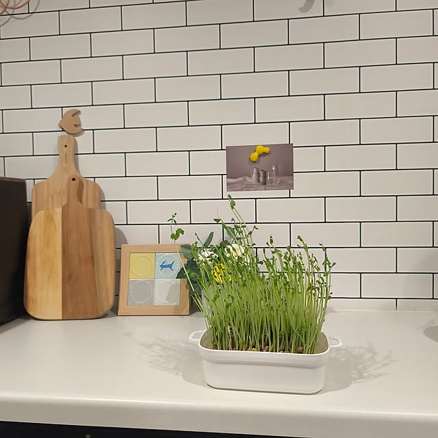 ya_maさんの実例写真