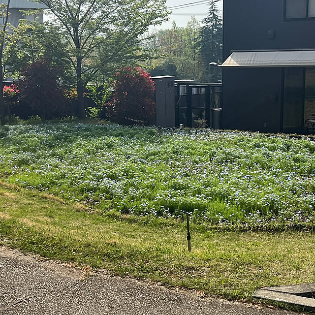 nannoさんの部屋