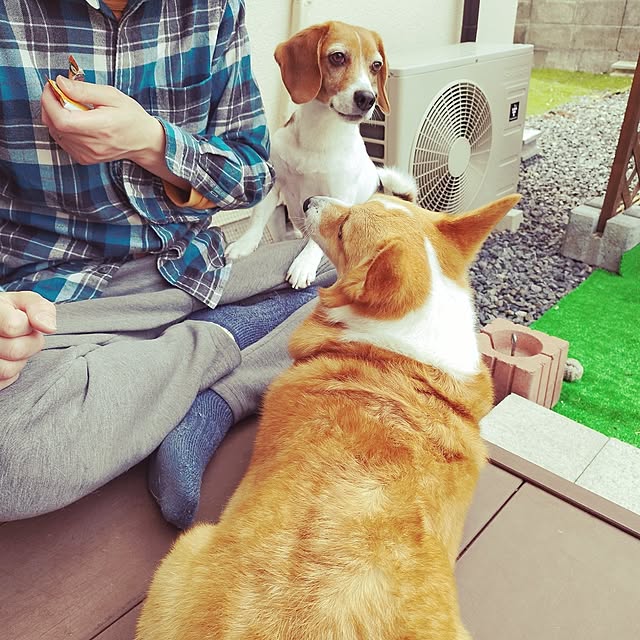 animallandさんの部屋