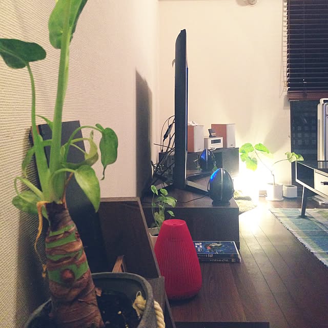 Cozy-m-Roomさんの実例写真