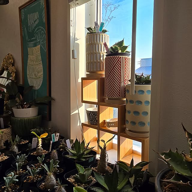 nonbiri_house_さんの部屋