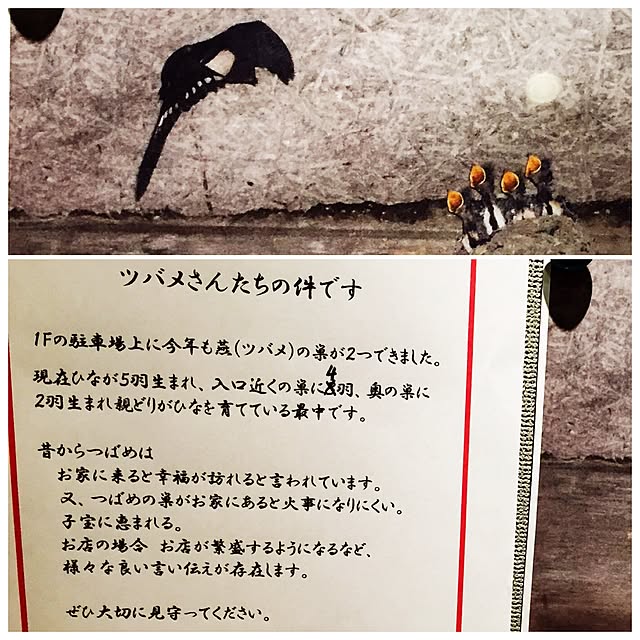 実例写真