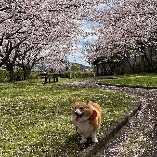 tenntennさんの部屋
