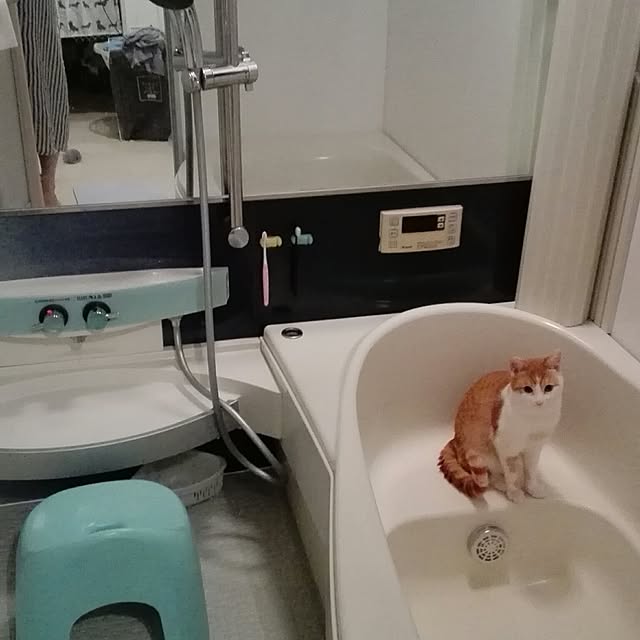 Toyomiさんの実例写真