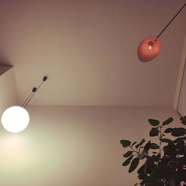 壁/天井/照明/観葉植物のインテリア実例 - 2017-11-21 12:53:26