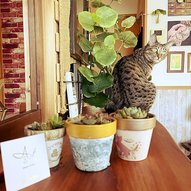 Mさんの実例写真