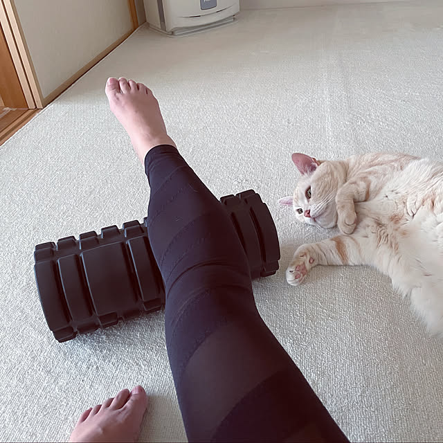 hiyupan88さんの実例写真