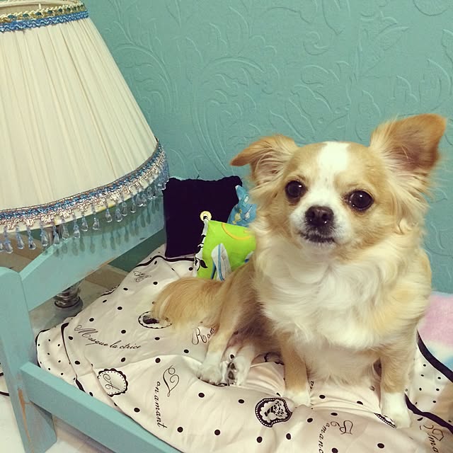 Reineさんの実例写真