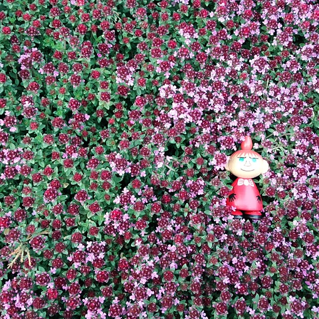 okeiさんの実例写真