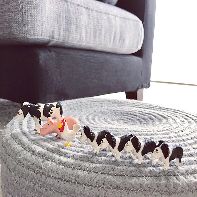 Mamiyさんの実例写真