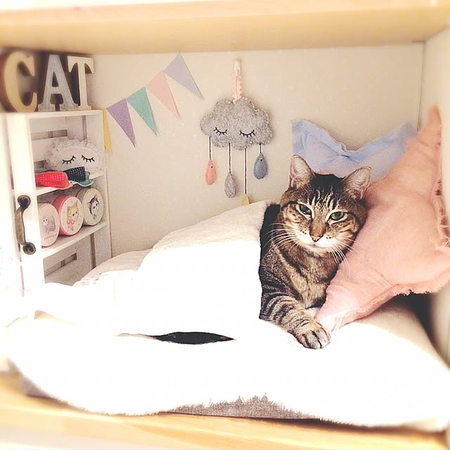 lovecatさんの実例写真