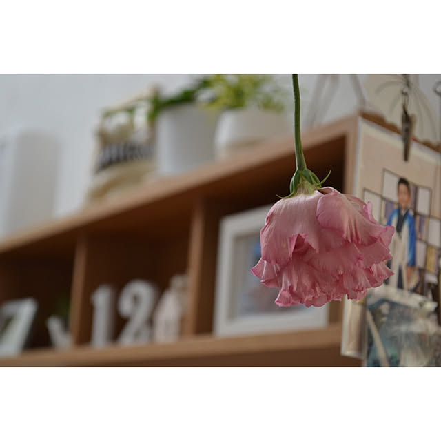 kana_homeさんの実例写真